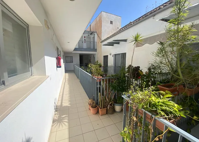 Attractive In Center Apartament